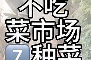 开云app官网登录不了截图1